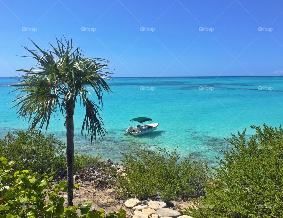 Solo at Sea . Solo boat anchored in a beautiful bay in The Bahamas with a coast lined with palm trees and Sea Grapes.