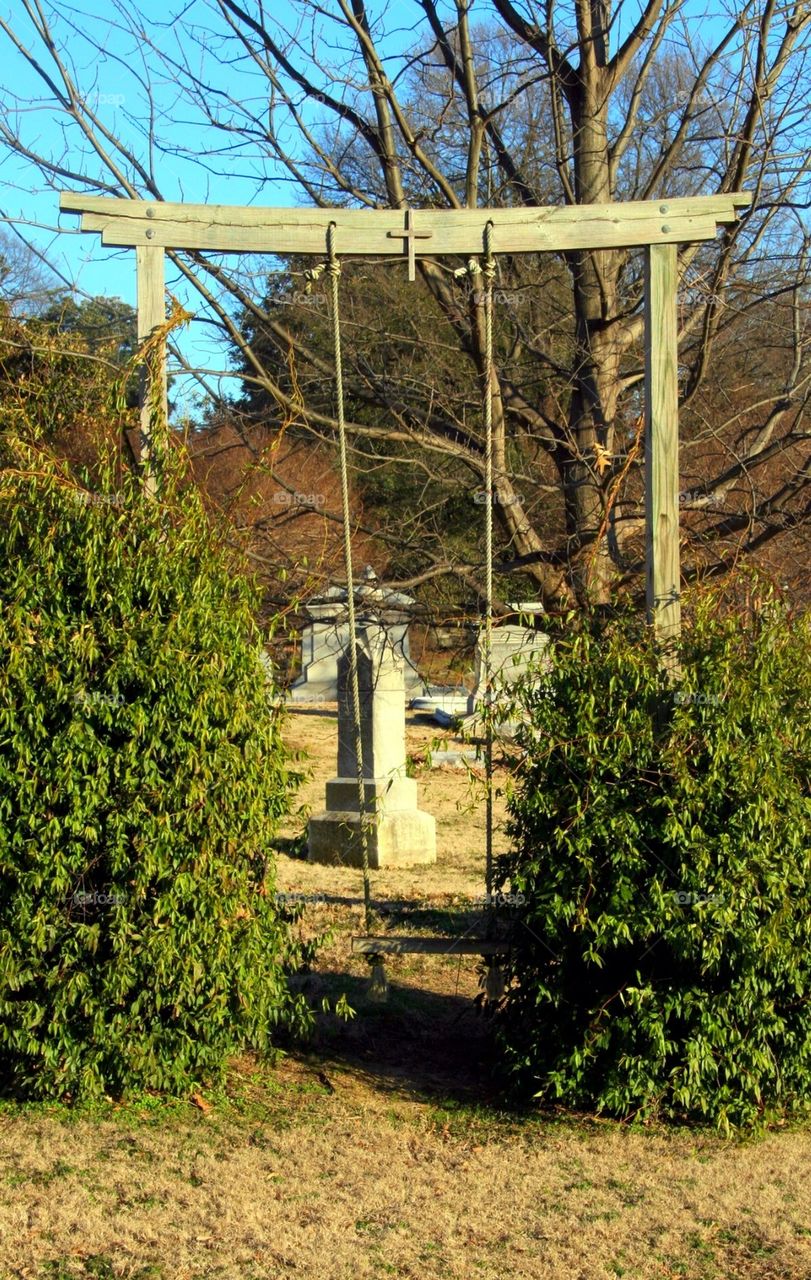 Swing at Elmwood cemetery
