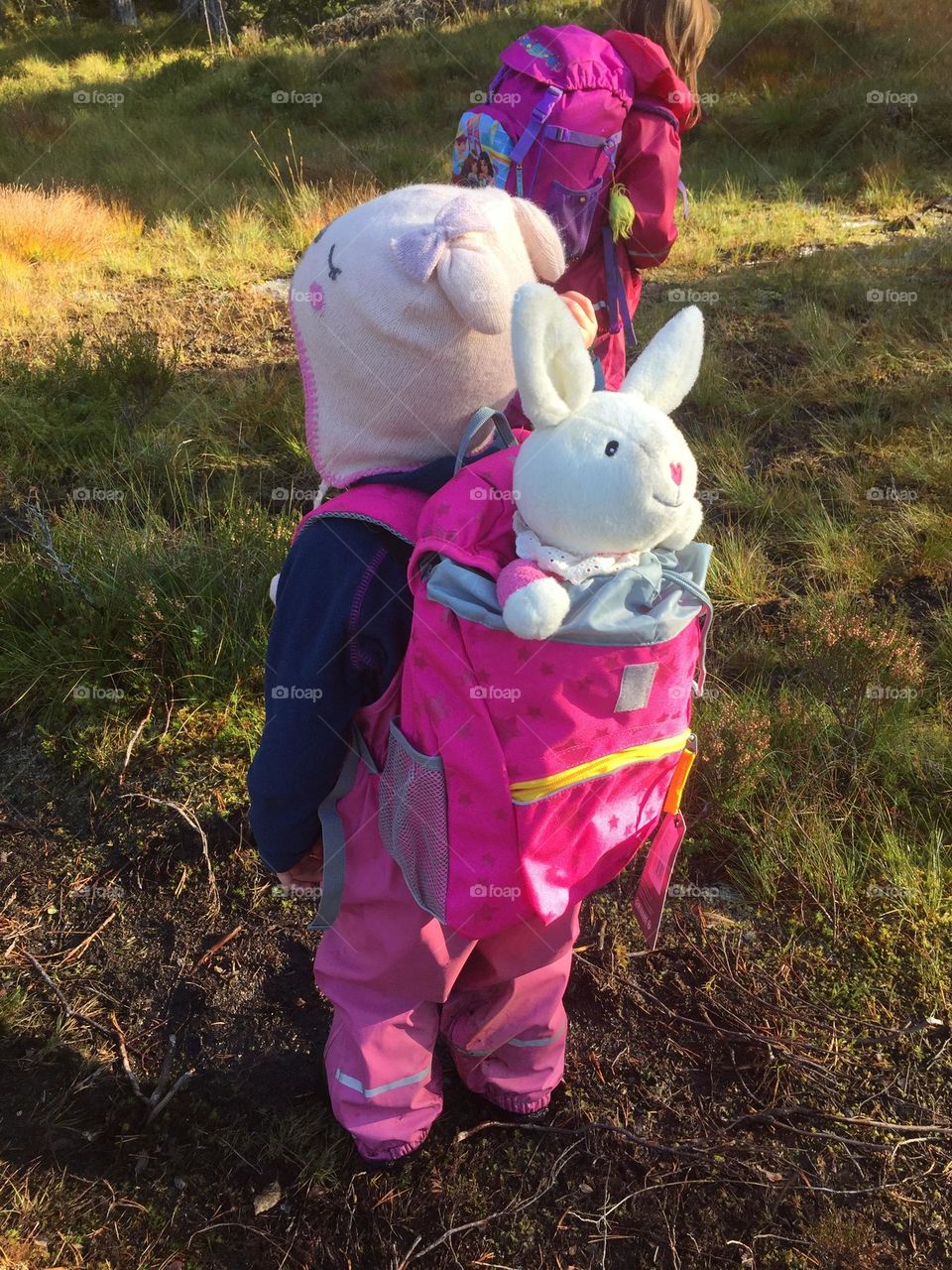 No Mountain without the rabbit 