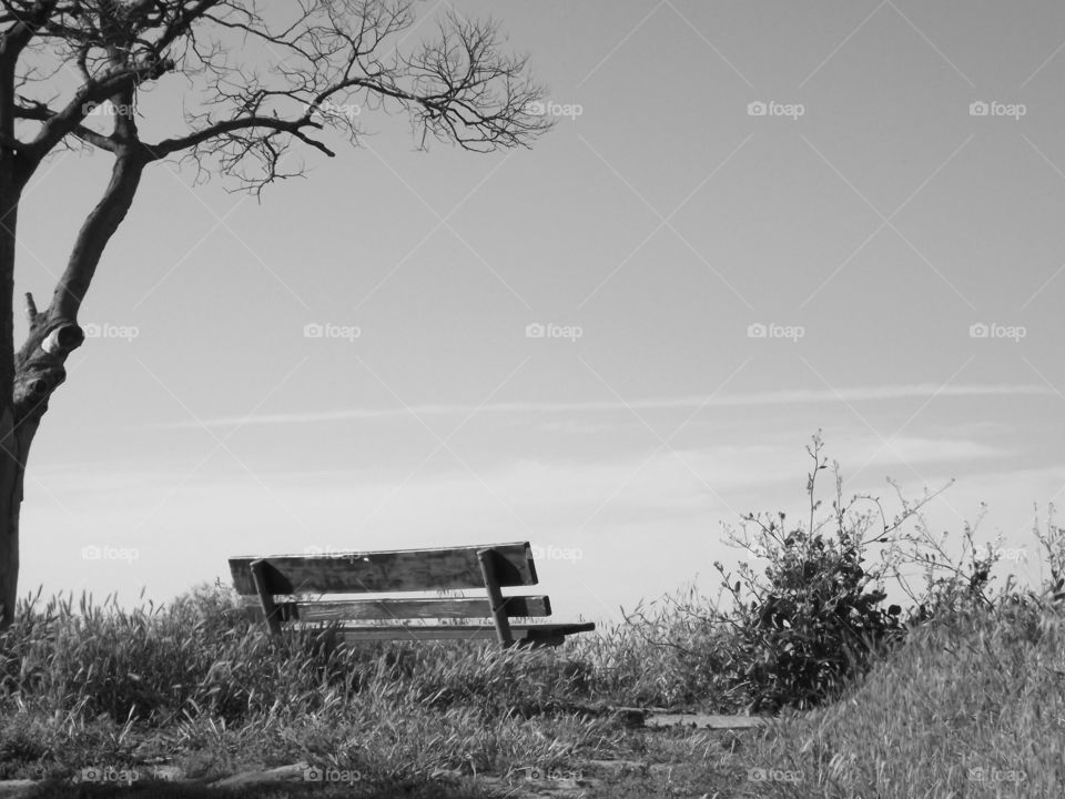 View of empty bench