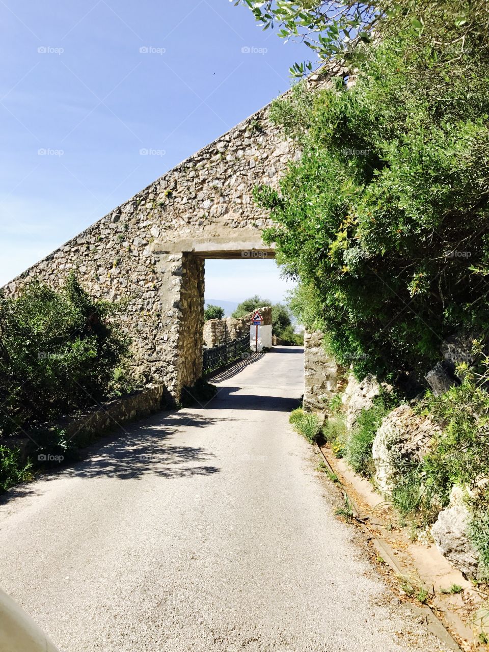 Gibraltar Upper Rock, Nature Reserve 