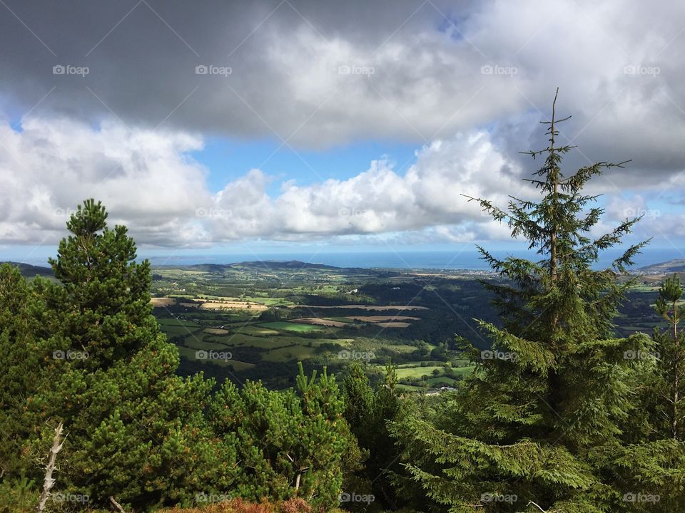 Tree, No Person, Nature, Landscape, Outdoors