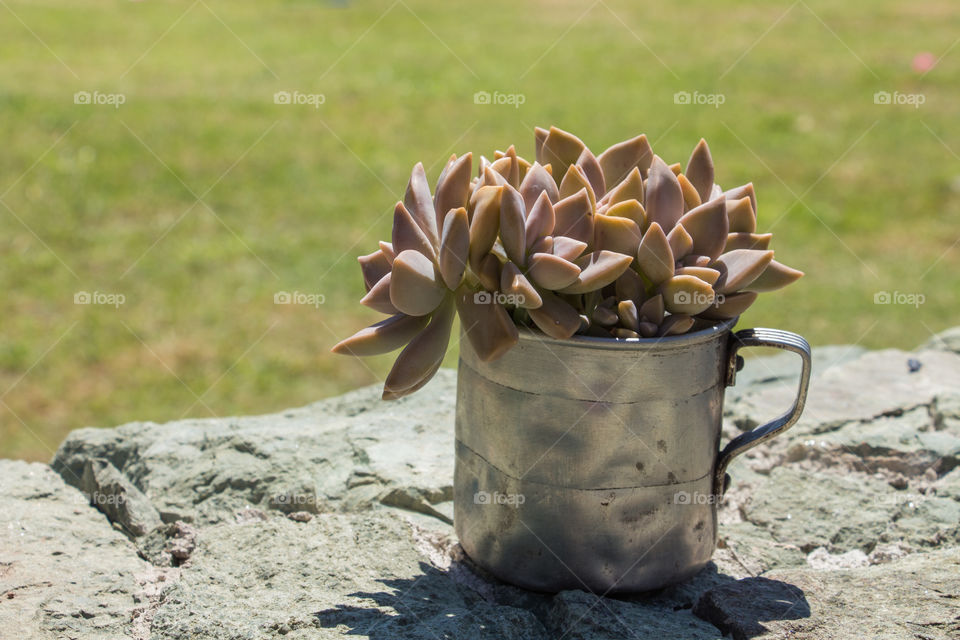 old aluminium pot