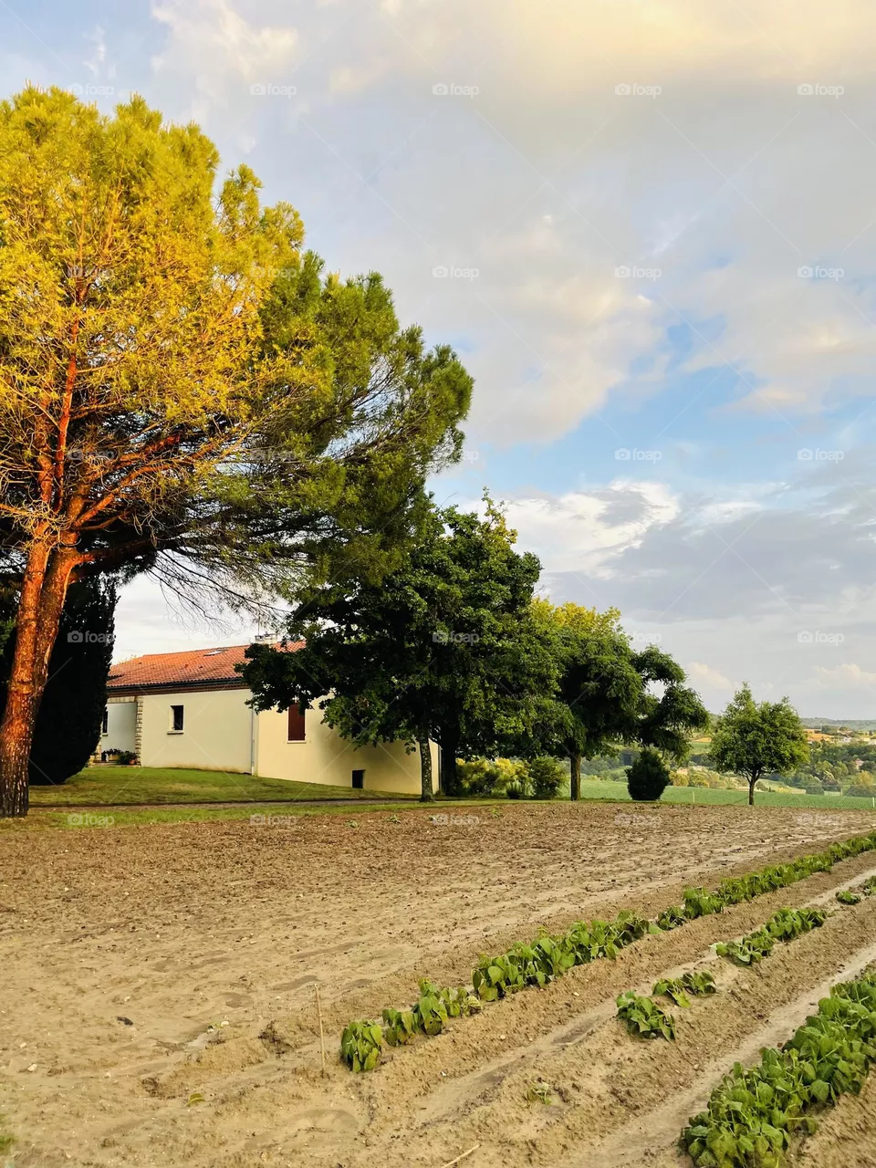 French house in the daylight