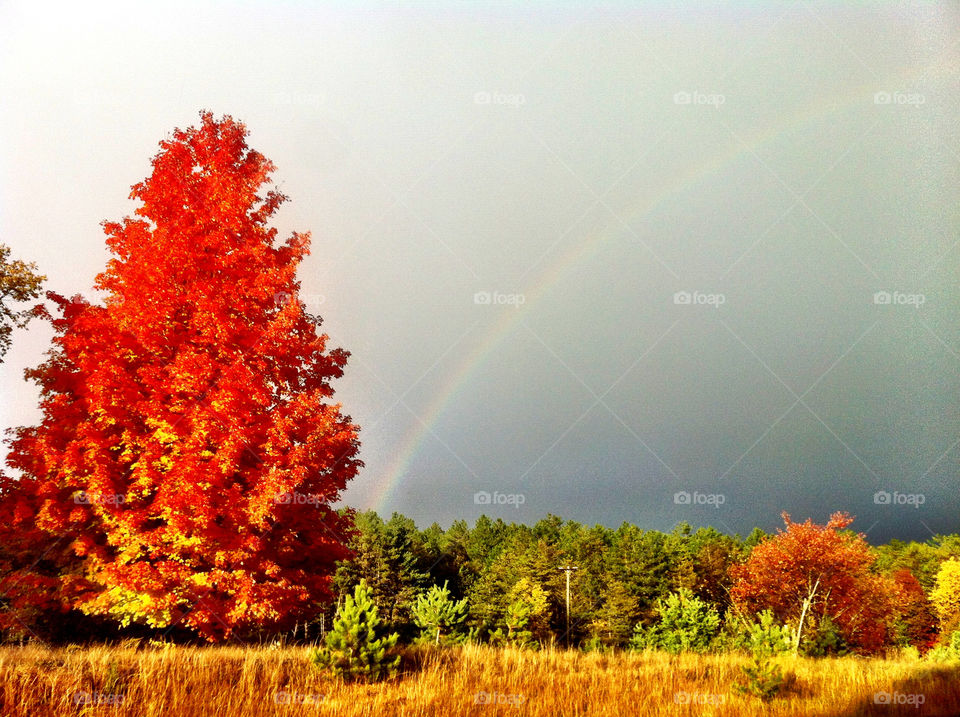 sky red grey color by serenitykennedy