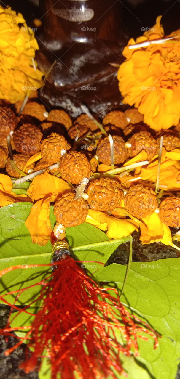 #color #folkgreen #roamtheplanet #exploretherewards #modernoutdoors #naturparkfichtelgebirge #themoderndayexplorer #moodygrams #vibesofvisuals #wekeepmoments
Copy
#liveforthestory #moodnation #mountainstories #folkscenery #travelingcapitólio #quero