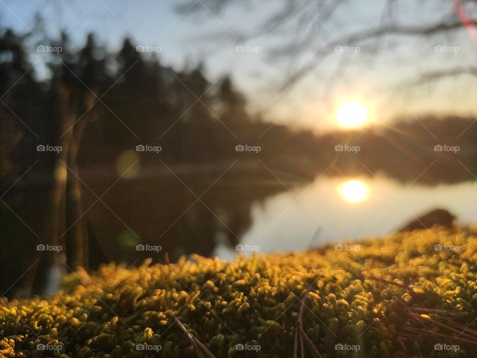 mos next to the water