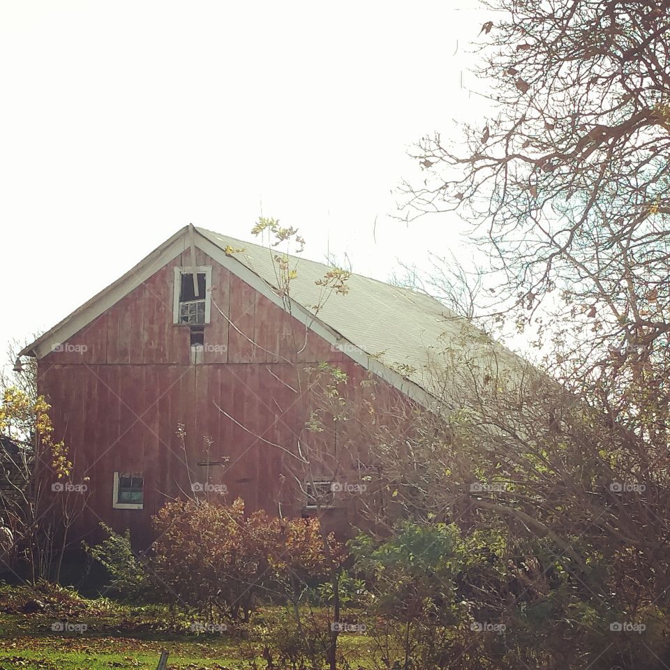 barn