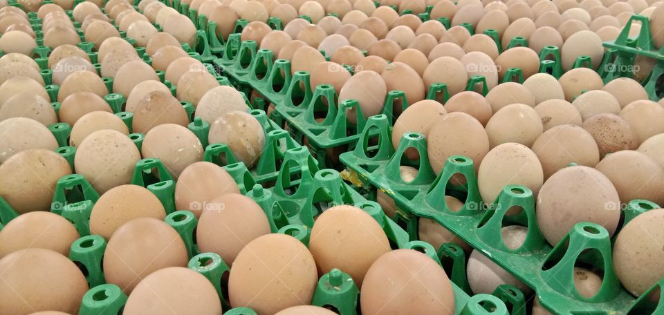 eggs in supermarket, telur di pasar