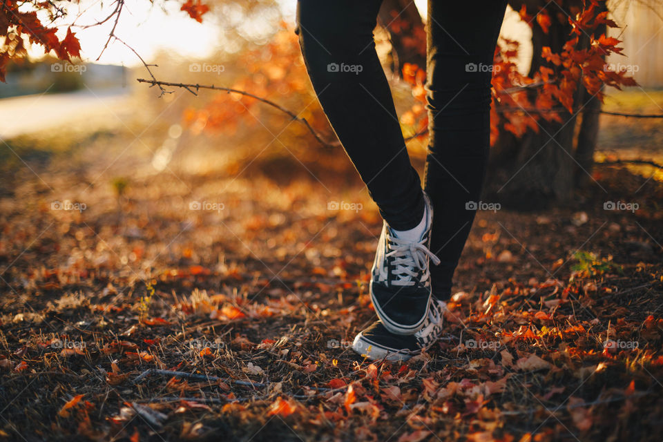 Sunlight in autumn 