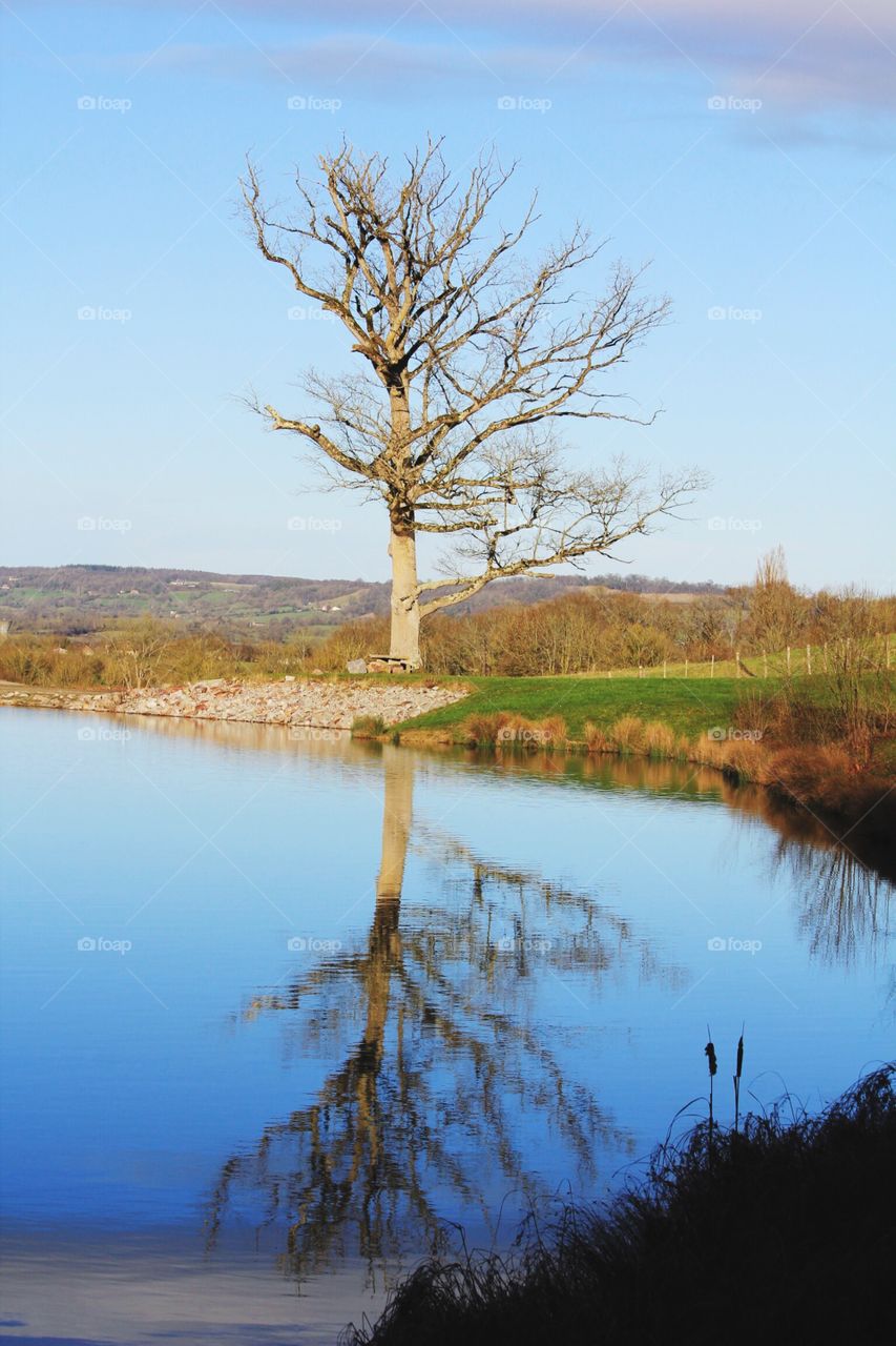 Reflection on a lake