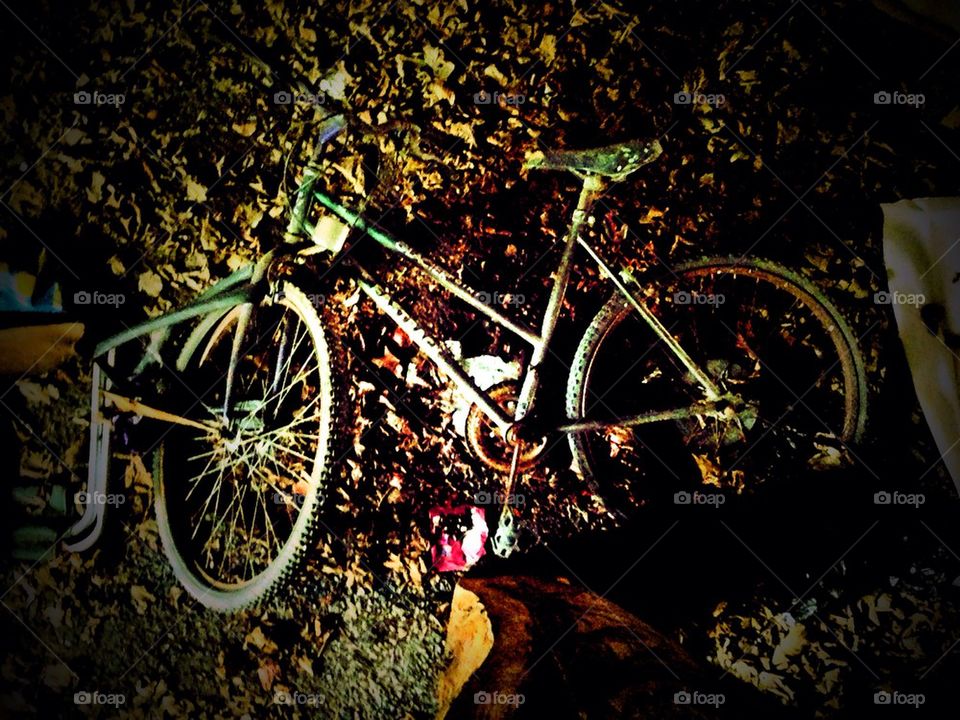 Old bicycle