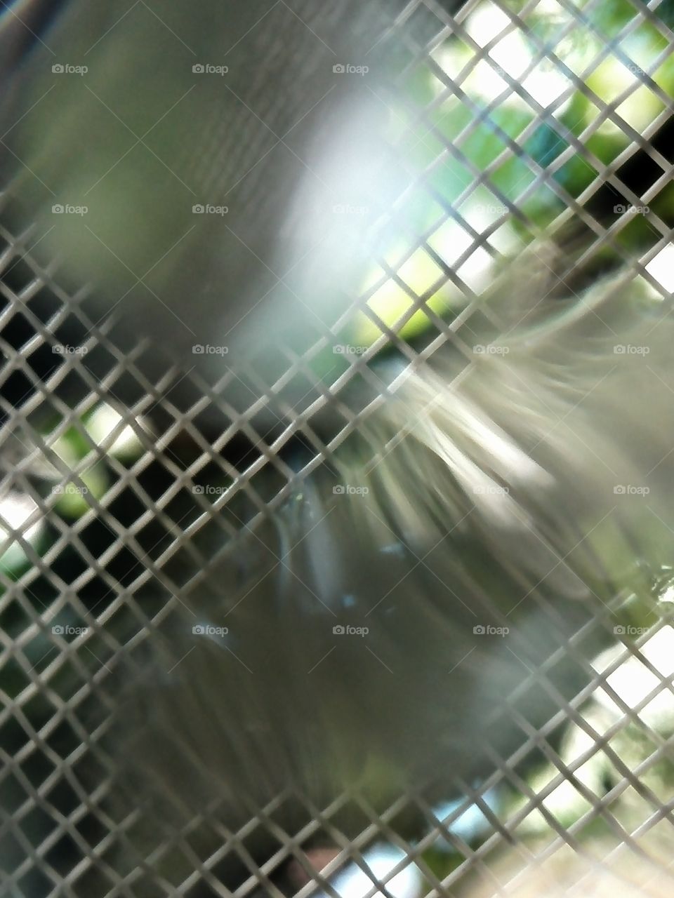 Playing with raindrops