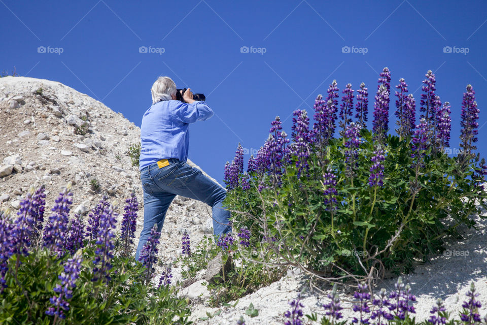 Photographer at work. 