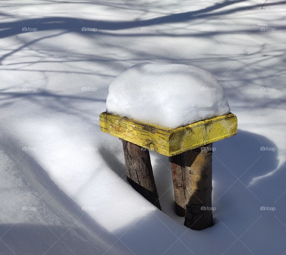 A forest bench in snow