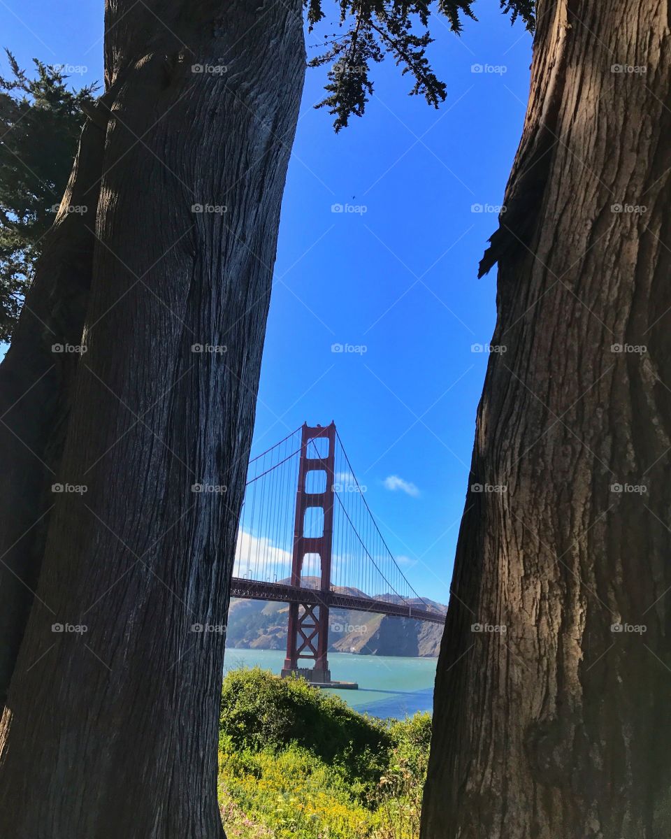 Golden Gate Bridge 