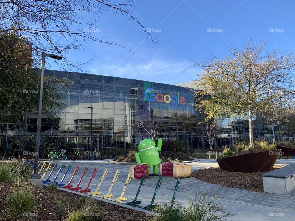 Googleplex - Silicon Valley 