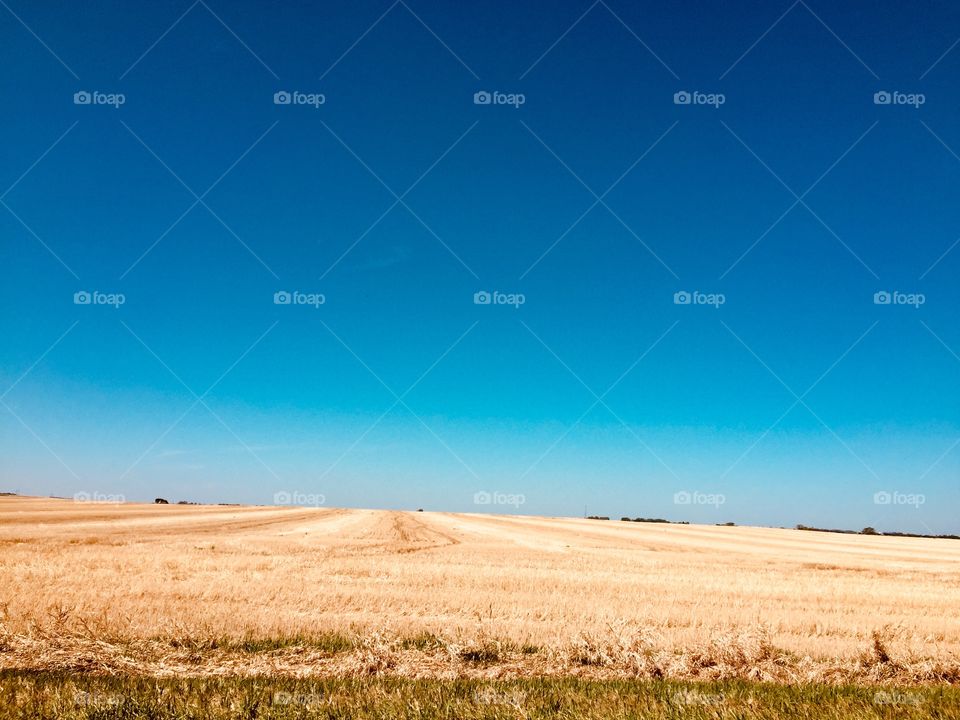 Brandon Manitoba prairie 