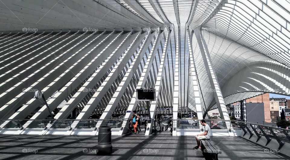 Liège-Guillemins railroad station, by architect Santiago Calatrava. Liège, Belgium.