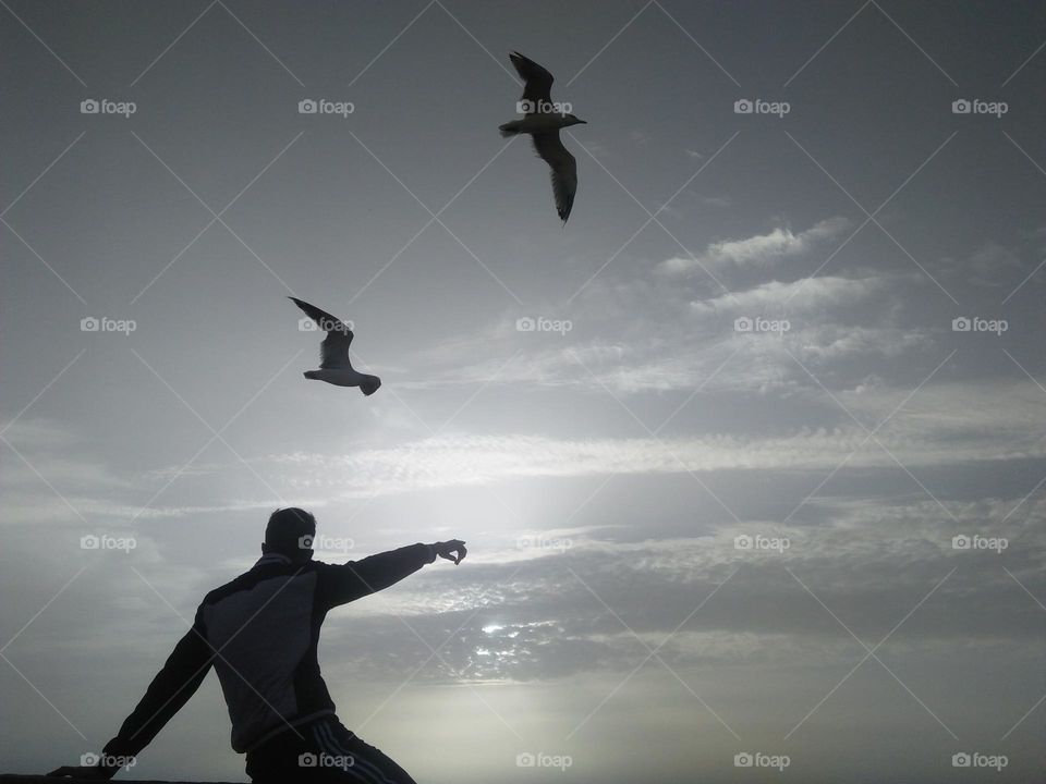 Two seagulls flying cross the sky and an adult man looking at the birds.