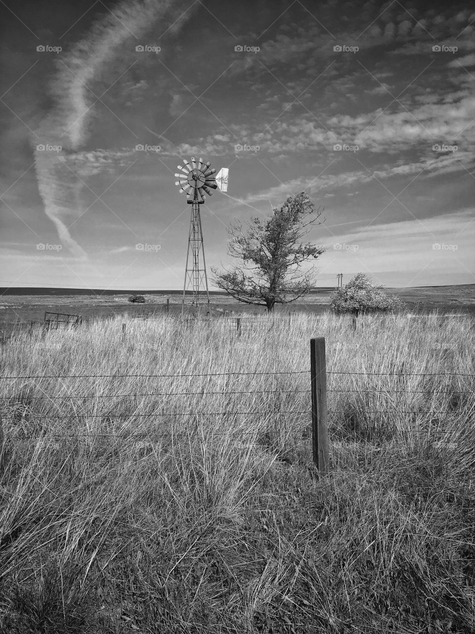 Windmill on Abandoned Rural Farm