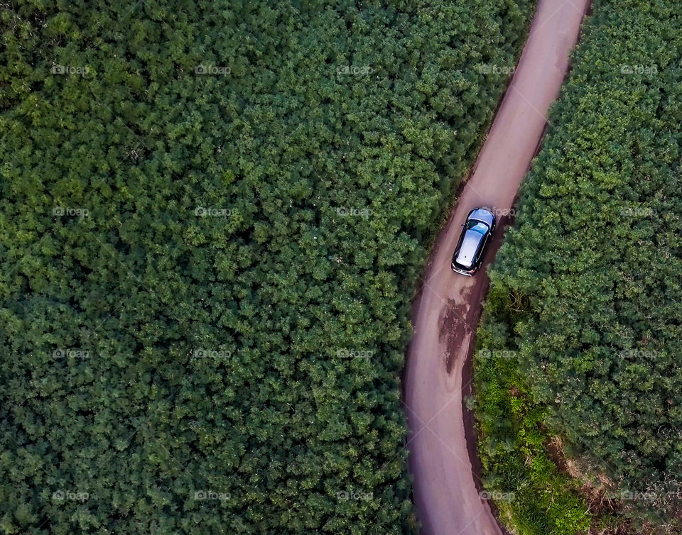 Aerial view of a car driving through a thick forest in Maui, Hawaii. Believe it or not, this road is meant for two cars! 