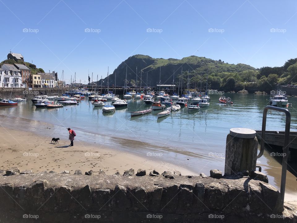 Mid morning late spring sunshine in llfracombe , Devon, UK enjoyed by just by a lone dog walker.