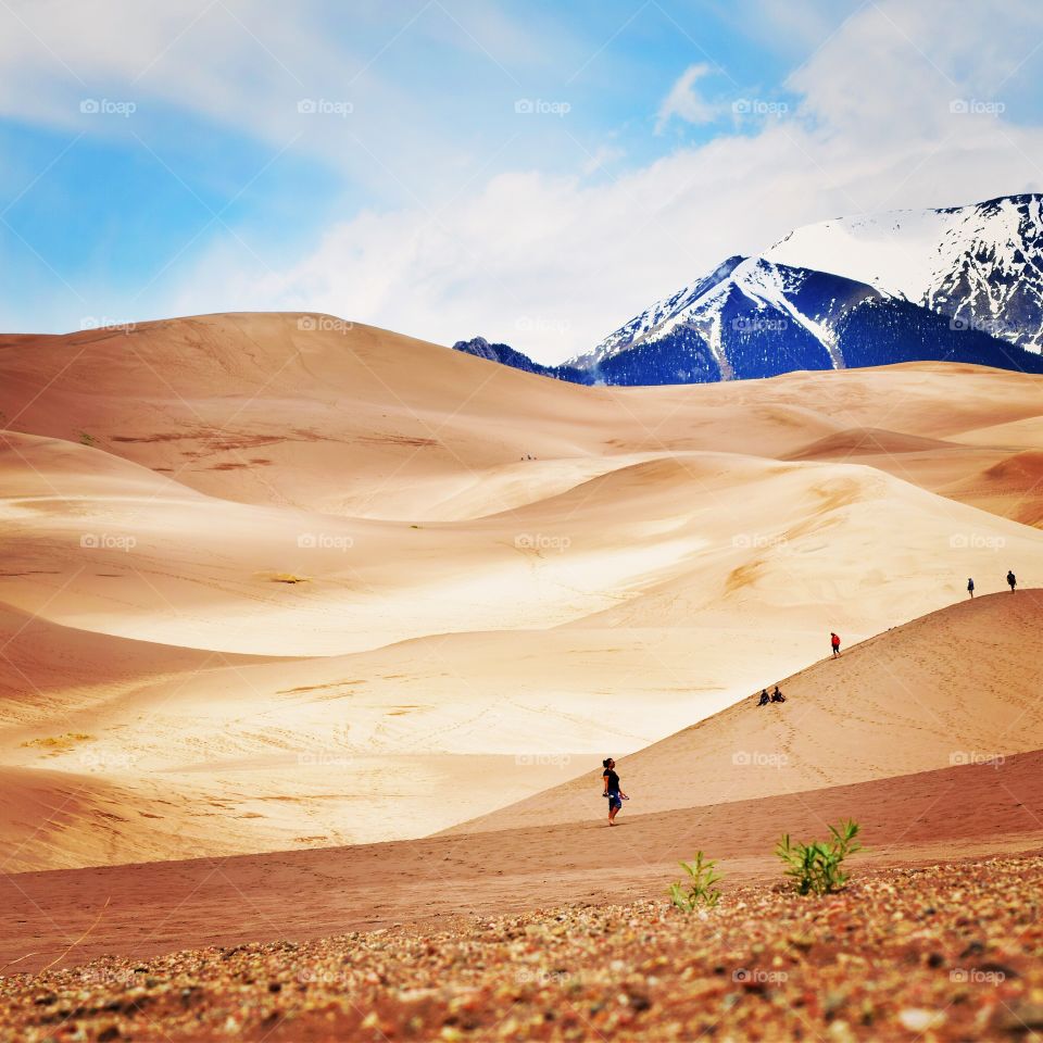 Sand. Dunes