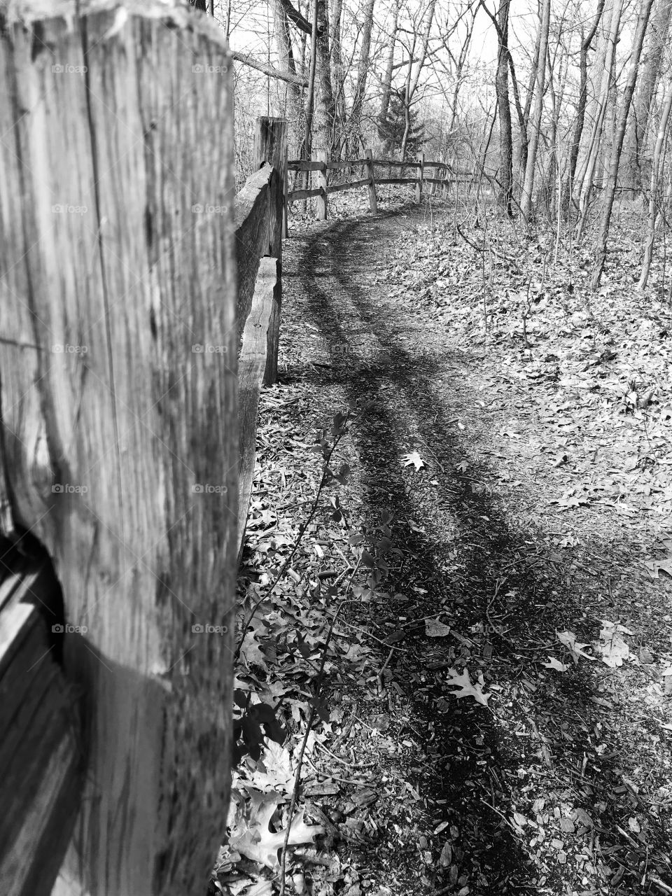 Fenced path