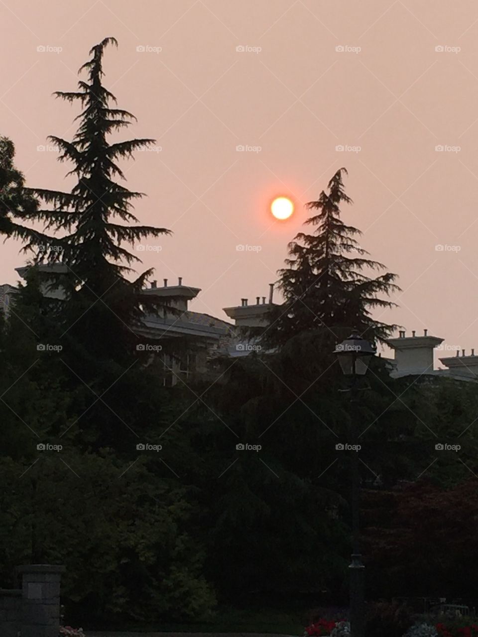 Sunset over west coast in smoky sky In British Columbia 