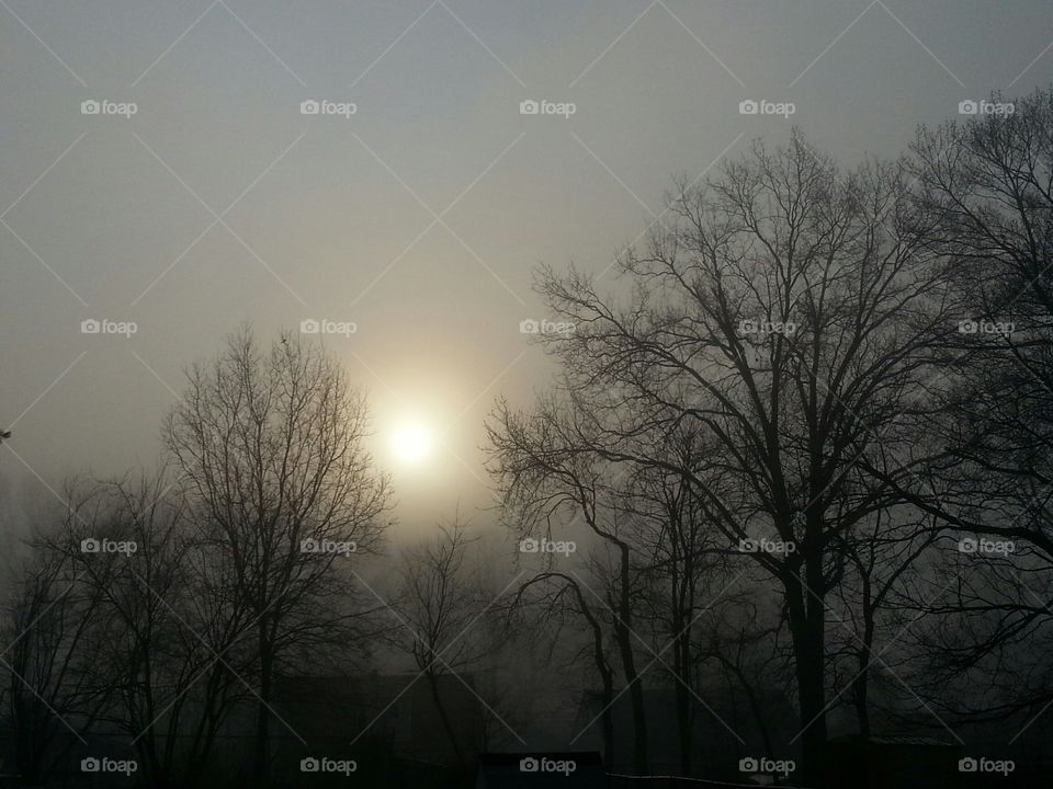 Foggy Sunrise. was leaving to go to work and it was foggy