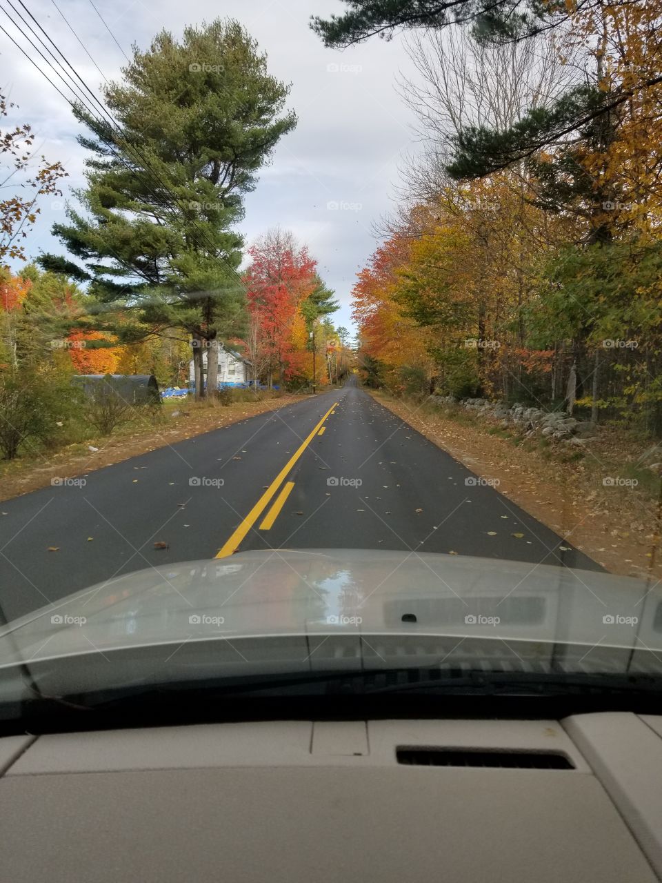 Life is a highway in the fall