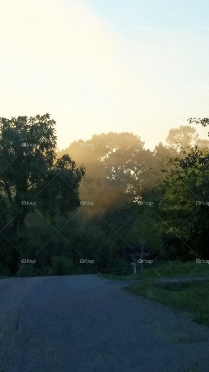 Misty Sunrise . Beautiful misty morning 