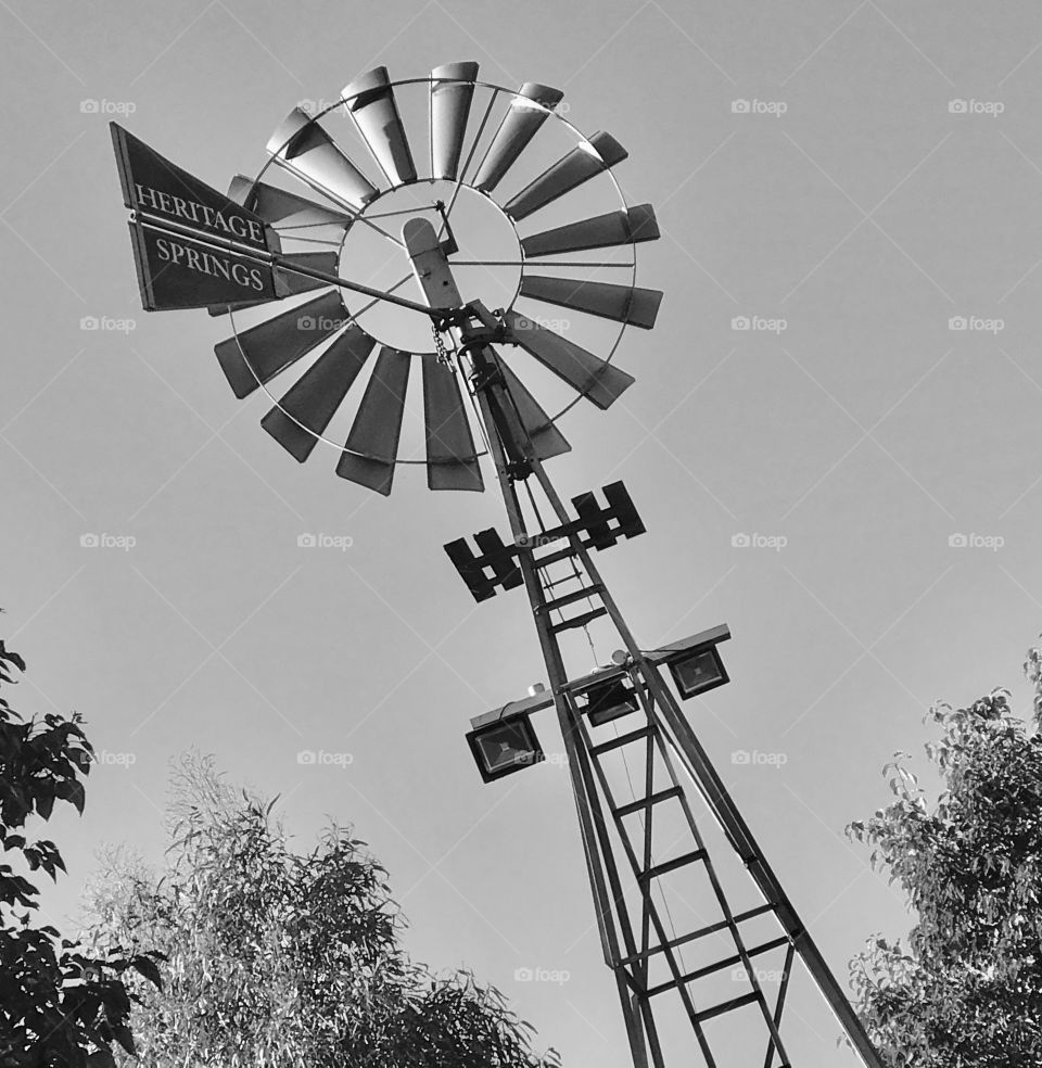 Black and white windmills 