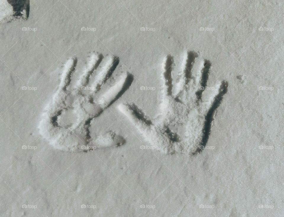 Snow Print