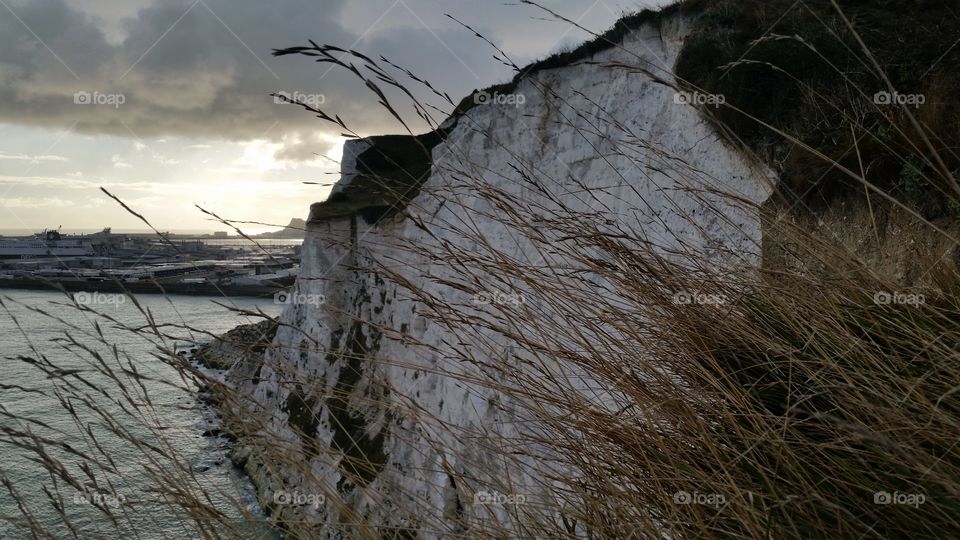 Dover White Cliffs