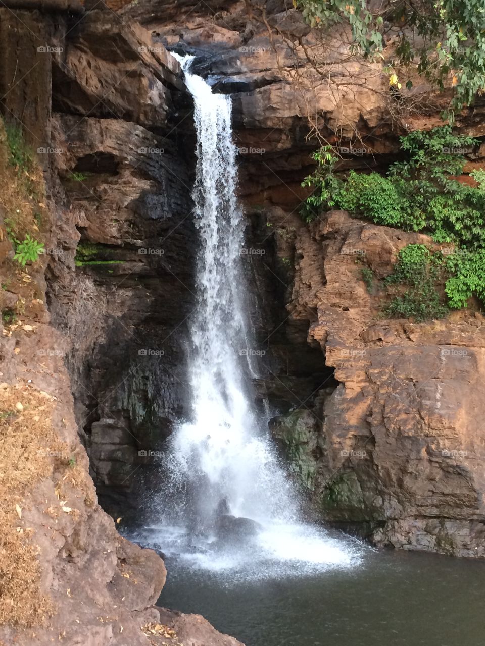 Waterfall. Waterfall in Goa