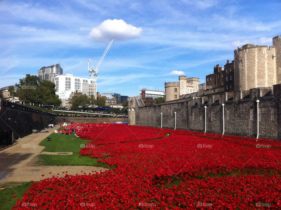 Blood Swept Lands and Seas of Red. Poppies installation at the Tower of London