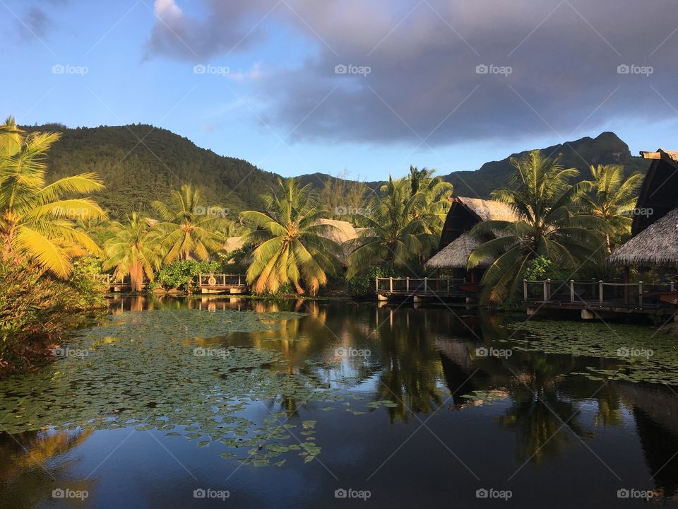 Huahine landscape 