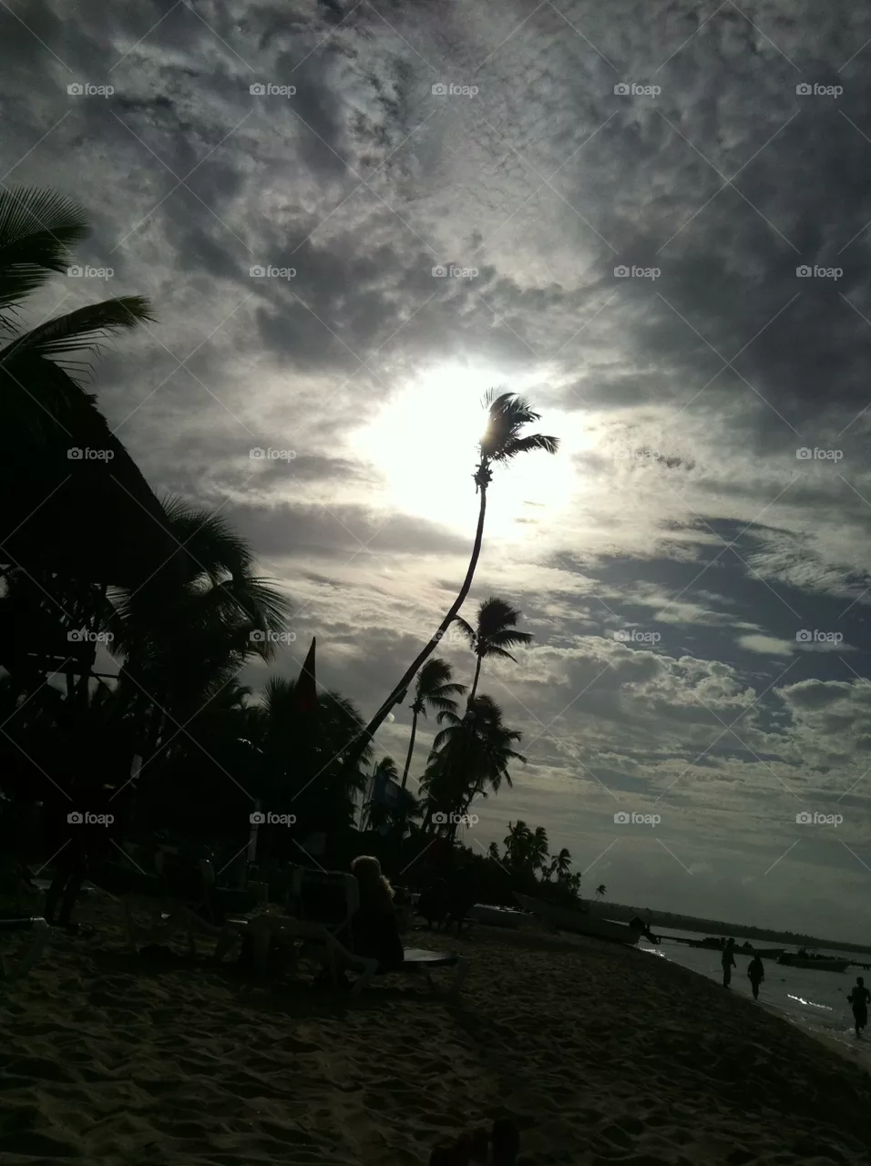 Palm shadows