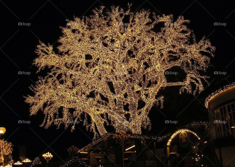 göteborg tree christmas lights by MagnusPm