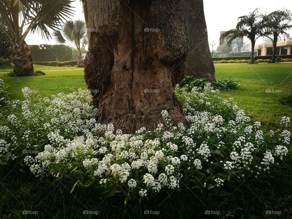 When you are old and love surrounds you...