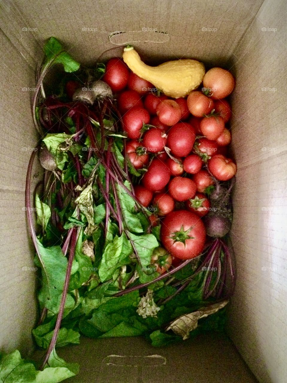 Foap Mission Fruits! Fresh healthy tomatoes and vegetables from the garden!