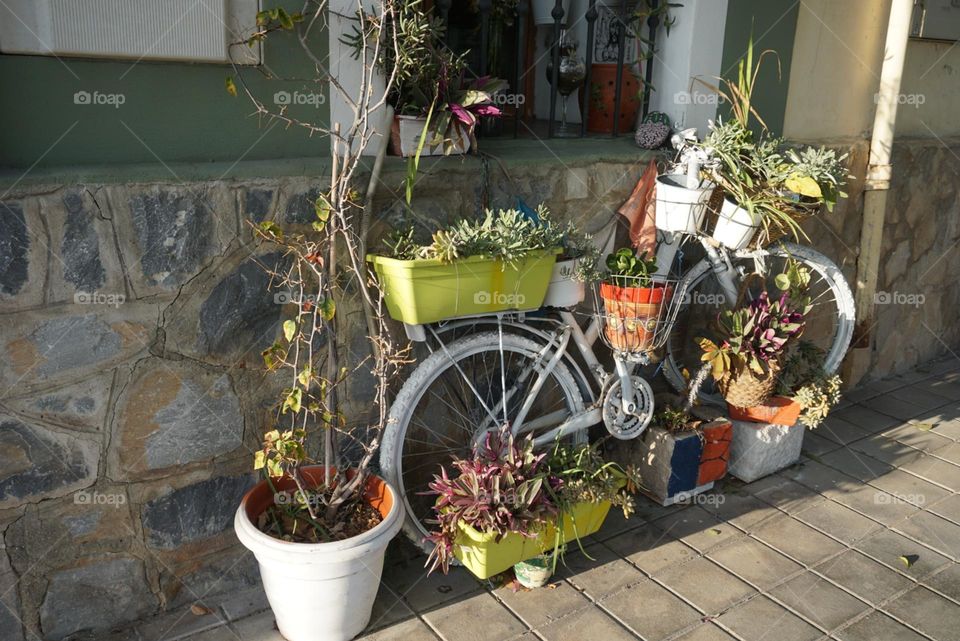 Urban#plants#nature#bycicle#spots