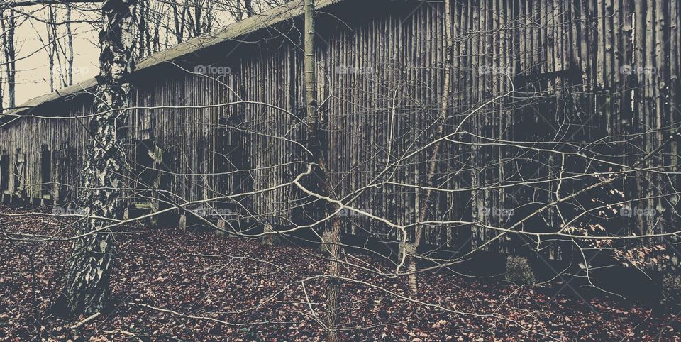 An old abandoned storage in forest
