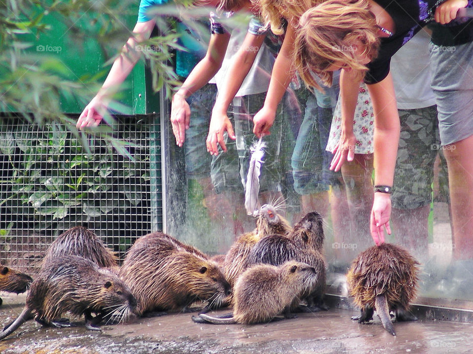 Children in the Zoo