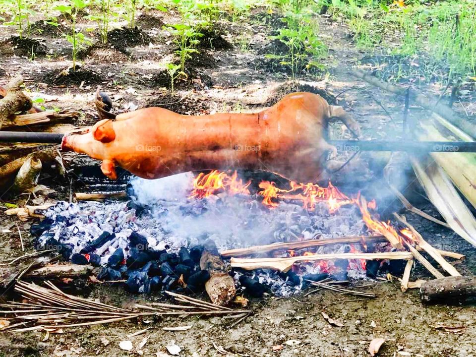 One of my Favorite filipino Dishes-LETCHON
