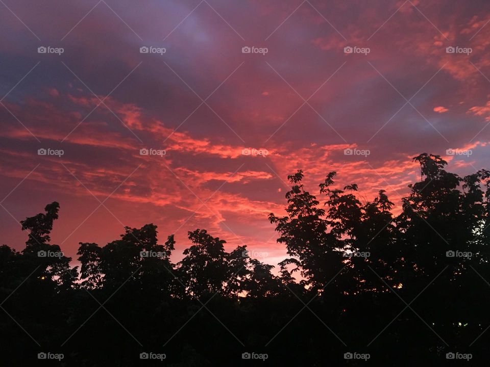 Beautiful sunset behind some dark trees, during a lightning storm, making the clouds very colorful with purples, reds and blues