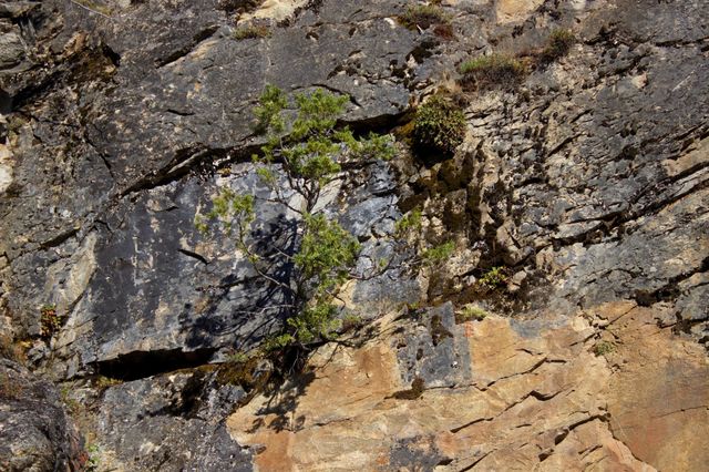 rock