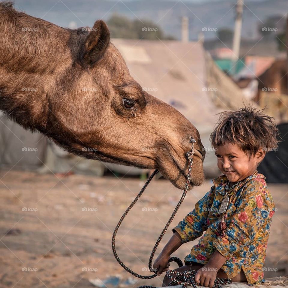 Little girl show affection towards her father's camel